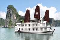 Pelican Cruise